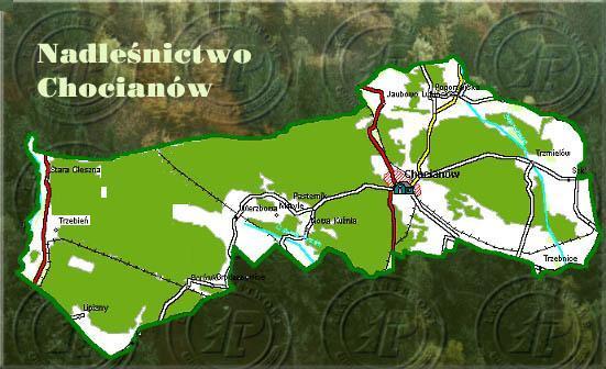 Headquarters Nadleśnictwo Chocianów