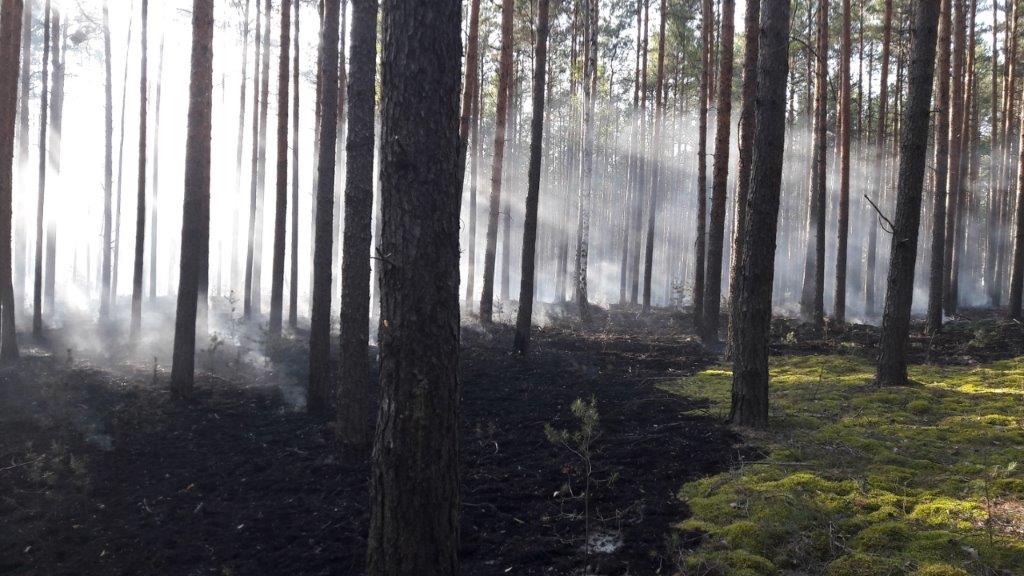 Zaproszenie do składania ofert na pełnienie dyżurów ppoż.