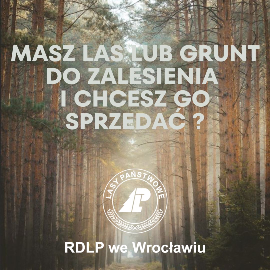 Ogłoszenie dotyczące nabywania lasów lub gruntów do zalesienia