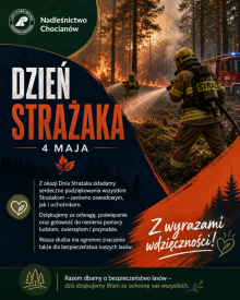 Dzień Strażaka